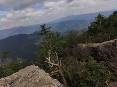 -牛背梁国家森林公园