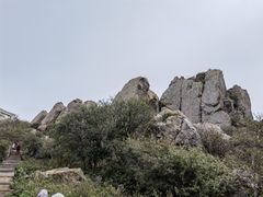 -白草畔自然风景区