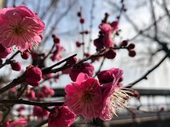 -锦溪古镇