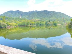 -深圳市中科院仙湖植物园