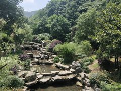 -桃花岭景区