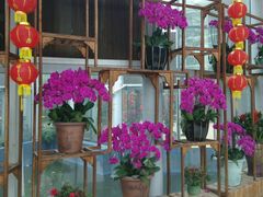 -松山湖梦幻百花洲