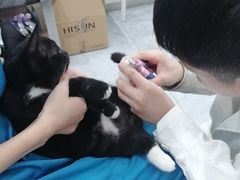 -安安宠医·臻爱宠物医院·宠保定点(营门口路分院)