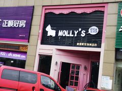 -MOLLY'S萌宠生活馆