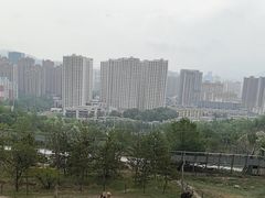 -青藏高原野生动物园