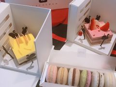 -BLACKSWAN黑天鹅(环球店)