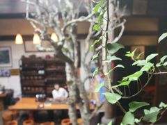 -普洱茶府(博乐广场店)