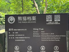 -都江堰中华大熊猫苑