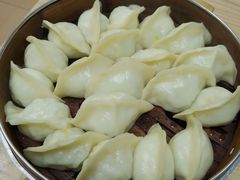 -白记饺子馆多伦道店