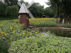 -圩墩遗址公园