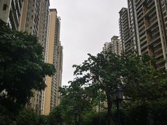 -猎德游泳池(猎德花园店)