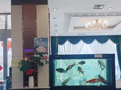 -老虎滩船说·海胆水饺·大连海鲜(老虎滩店)
