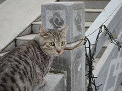 -武汉紫薇都市田园