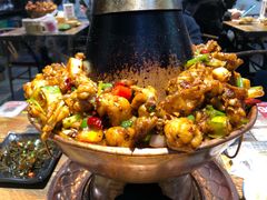 -蛙麻蛙辣炭火蛙锅(南环大街店)