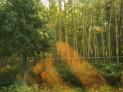 -天目湖御水温泉·度假酒店