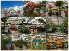 -南宫五洲植物乐园