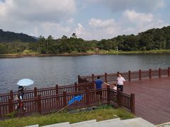 -海南热带雨林国家公园吊罗山景区
