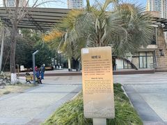 -苏州河梦清园环保主题公园