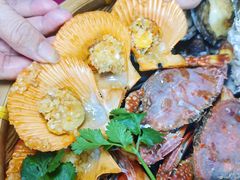 -巽寮印象美食部落餐厅·海鲜·地方特色菜(惠州体验店)