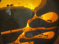 -佛山科学馆