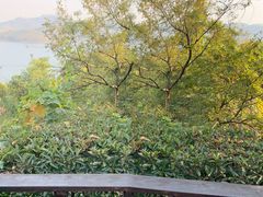-天目湖涵田半山温泉