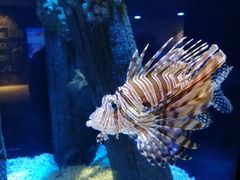 -成都浩海立方海洋公园