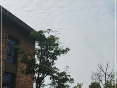-宁波杭州湾国家湿地公园