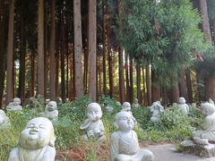 -武陵山森林公园