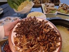 -野菌皇海景野生菌火锅(滨海大道店)