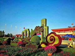 -药王庙(安国市)