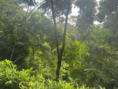 -火炉山森林公园