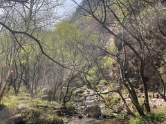 -玉渡山自然风景区