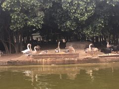 -西安秦岭野生动物园