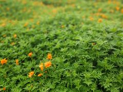 -艾溪湖湿地公园