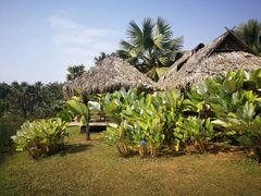 -中国科学院西双版纳热带植物园