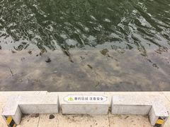 -大望京公园