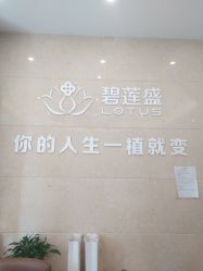 -碧莲盛·不剃发植发