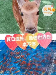 -萌宠亲子动物乐园(槐房万达店)