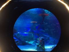 -沈阳海洋探索中心