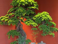 -阿伟海鲜楼·福建菜(延寿店)