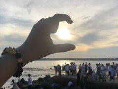 -宝安西湾红树林湿地公园