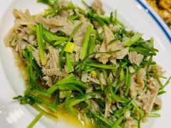 芫爆散丹-紫光园(劲松店)