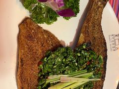 -香巴拉云南餐厅(华莱坞店)