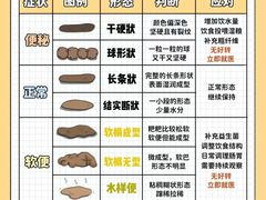 -瑞派天使宠物医院·神经外科·骨科·核磁CT(洛川中路店)