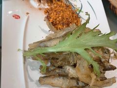 -张鸭子大酒楼(南滨路店)