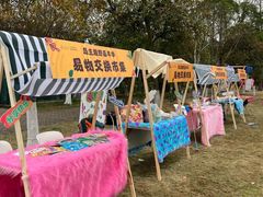 -太阳岛度假酒店