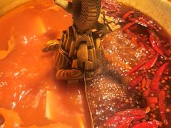 -小龙翻大江文化火锅(宽窄店)