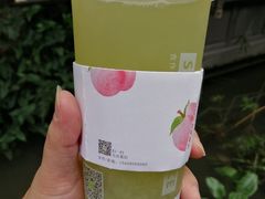 树夏绿葡萄-树夏(锦里店)
