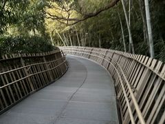 -福道