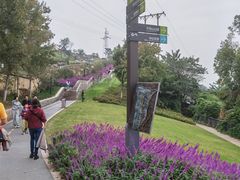 -重庆平顶山公园